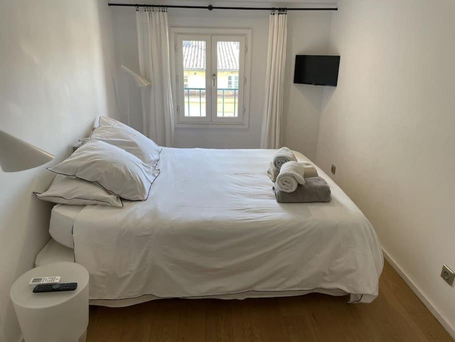 Homelivia, Lovely One Bedroom Flat Place Garibaldi Et Port * Nizza